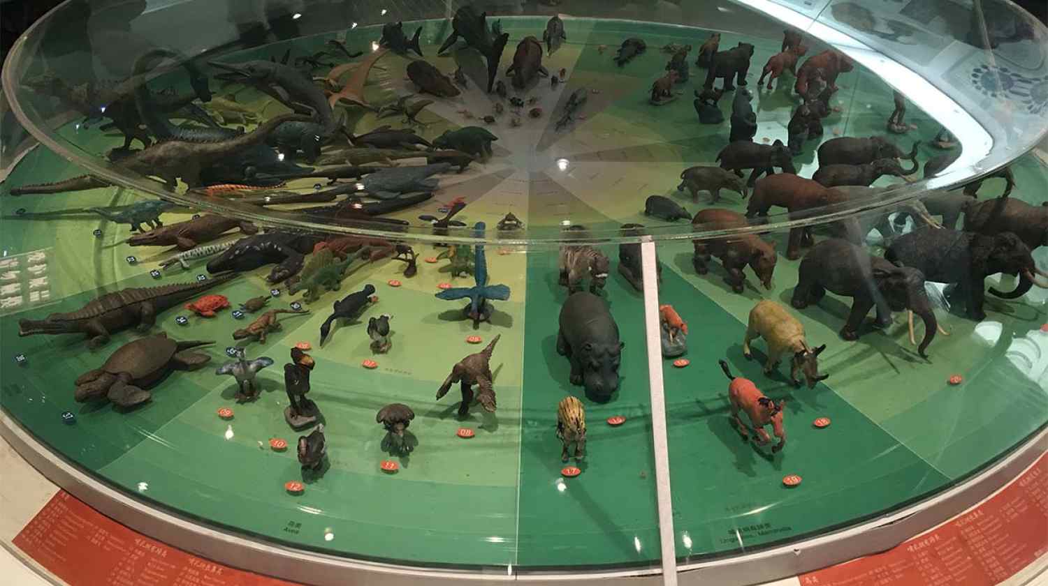 展廳設(shè)計|展館設(shè)計|主題游樂館設(shè)計|校園文化館設(shè)計|多媒體展廳|文博館設(shè)計|規(guī)劃館設(shè)計|展廳展館設(shè)計施工公司
