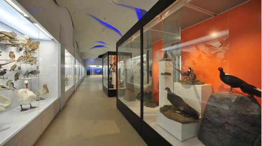展廳設(shè)計|展館設(shè)計|主題游樂館設(shè)計|校園文化館設(shè)計|多媒體展廳|文博館設(shè)計|規(guī)劃館設(shè)計|展廳展館設(shè)計施工公司
